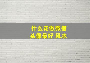 什么花做微信头像最好 风水